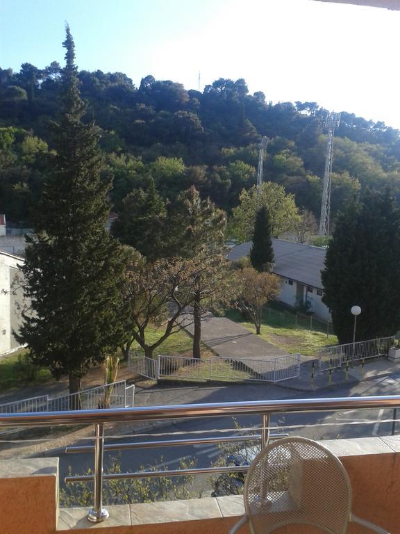 Guesthouse Lautasevic Petrovac Exterior photo